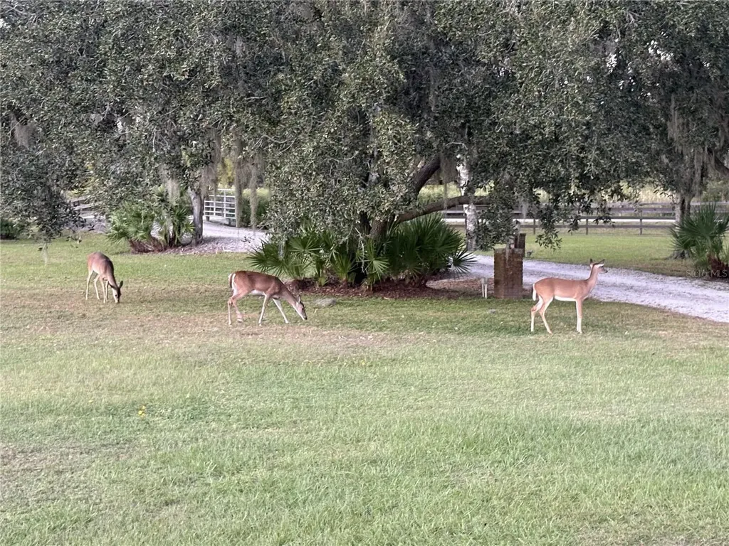 1950 Bern Creek Loop Sarasota FL 34240