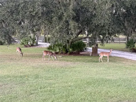 1950 Bern Creek Loop Sarasota FL 34240