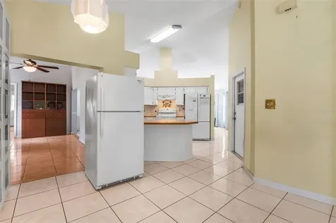 1541 Amherst Lane Kissimmee FL 34744