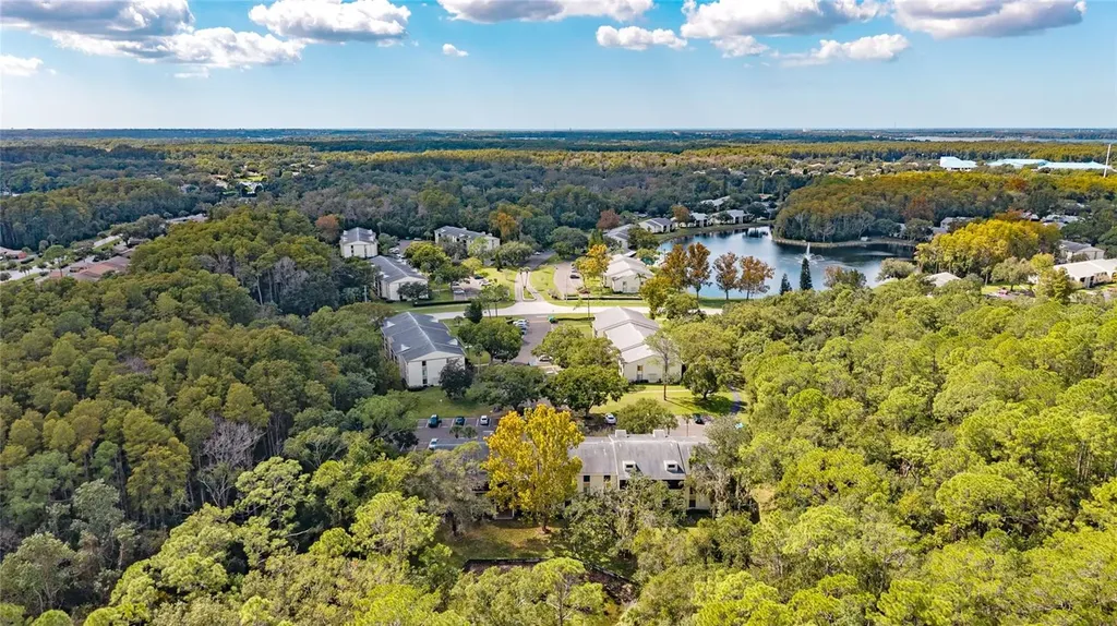 3232 Lake Pine Way E Tarpon Springs FL 34688