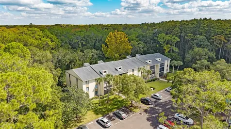 3232 Lake Pine Way E Tarpon Springs FL 34688