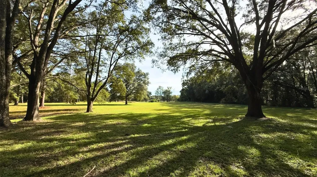 20815 NW 62nd Avenue Newberry FL 32669