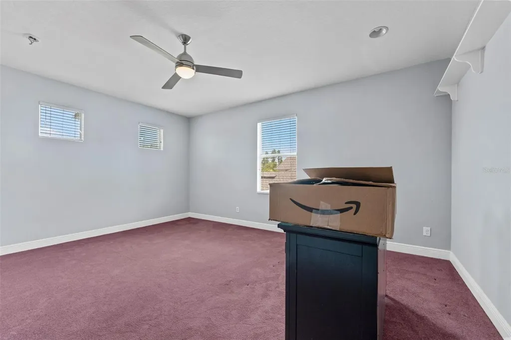 10511 Mistflower Lane Tampa FL 33647