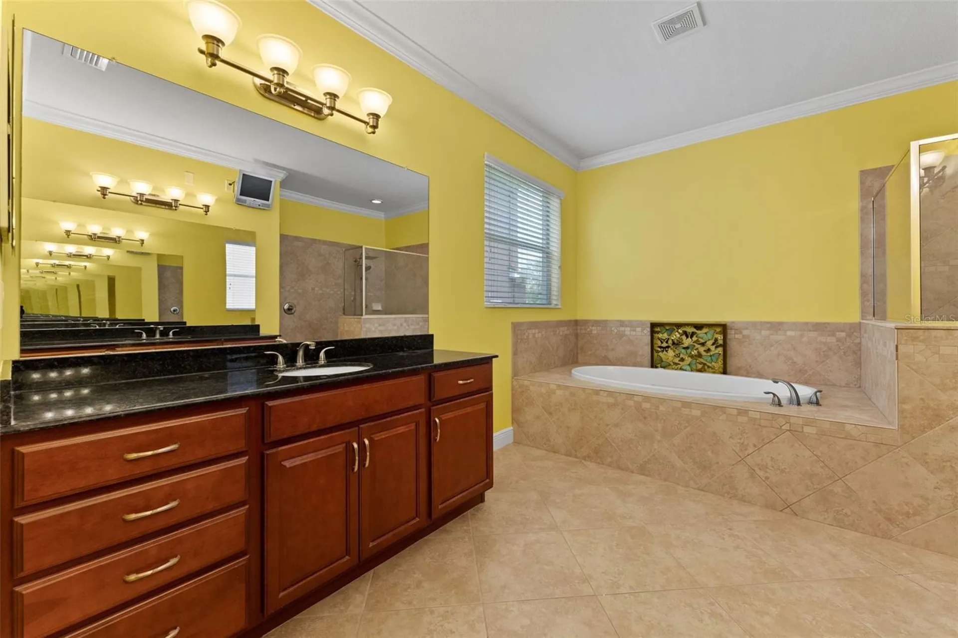10511 Mistflower Lane Tampa FL 33647