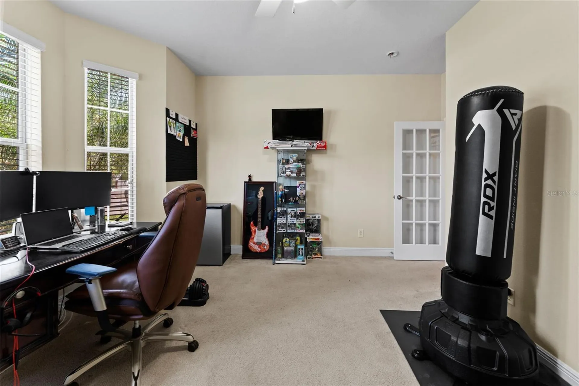 10511 Mistflower Lane Tampa FL 33647
