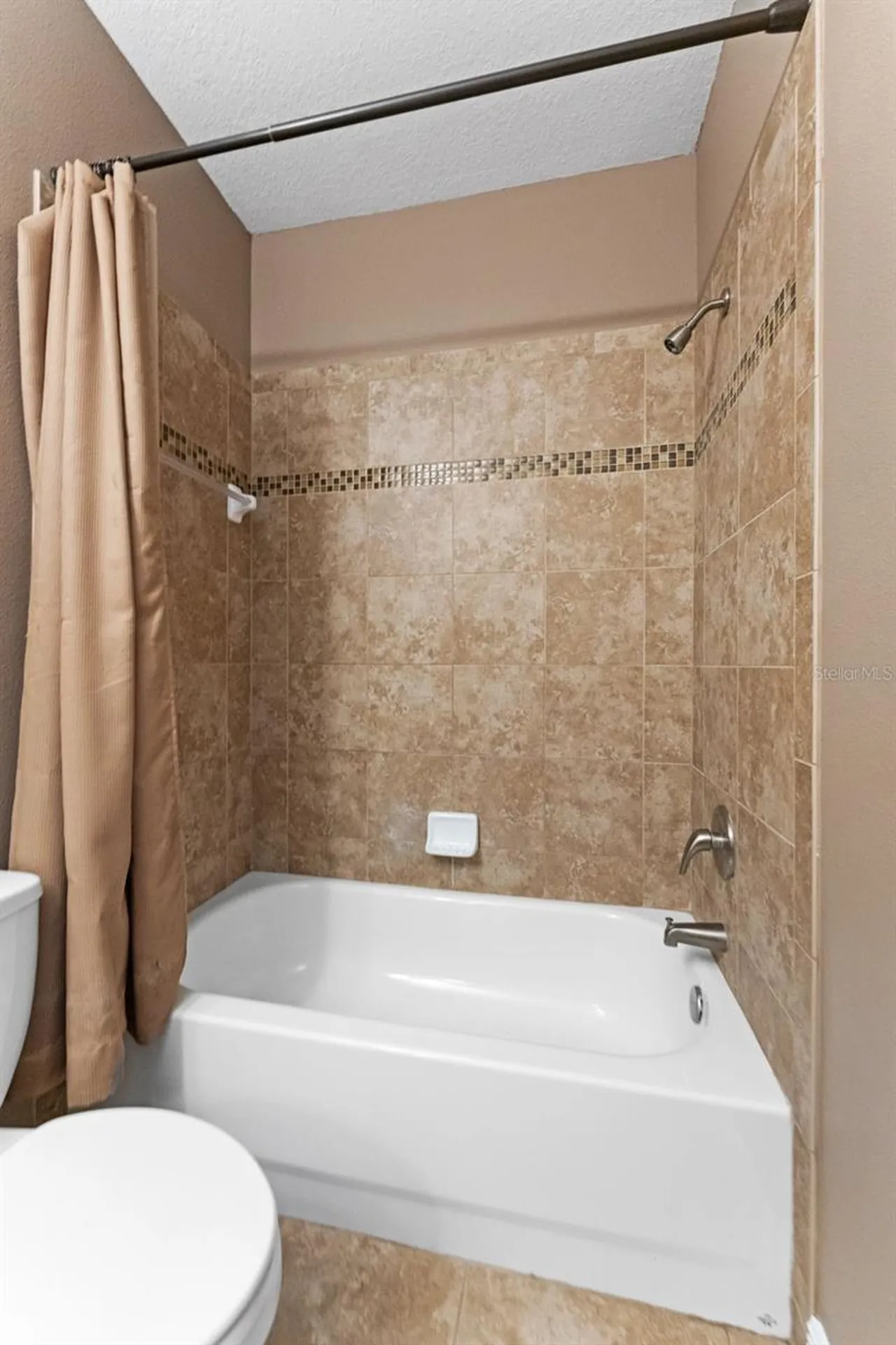 10511 Mistflower Lane Tampa FL 33647