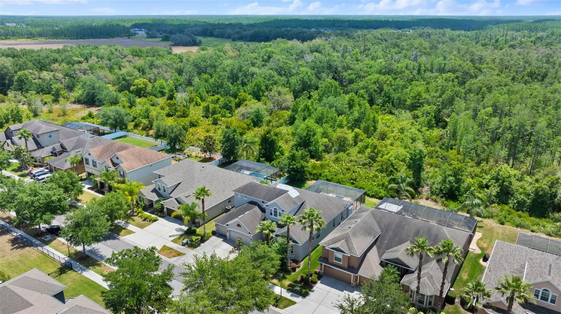 10511 Mistflower Lane Tampa FL 33647