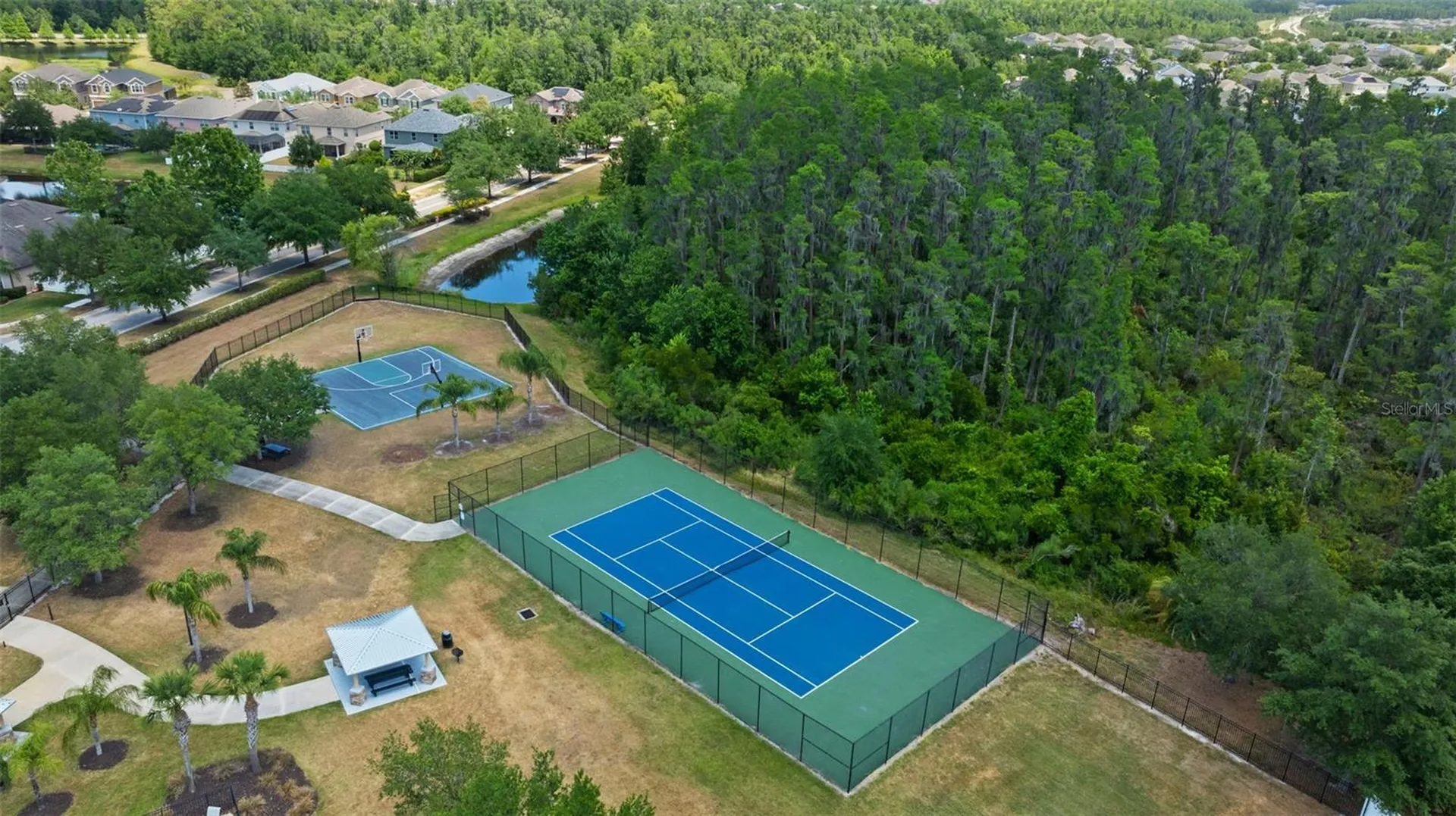 10511 Mistflower Lane Tampa FL 33647
