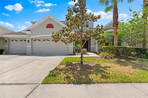 10511 Mistflower Lane Tampa FL 33647