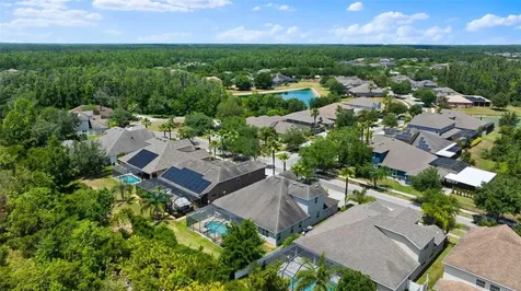 10511 Mistflower Lane Tampa FL 33647