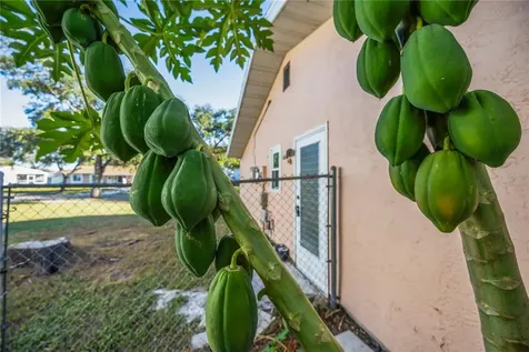 4413 Mckibben Drive North Port FL 34287