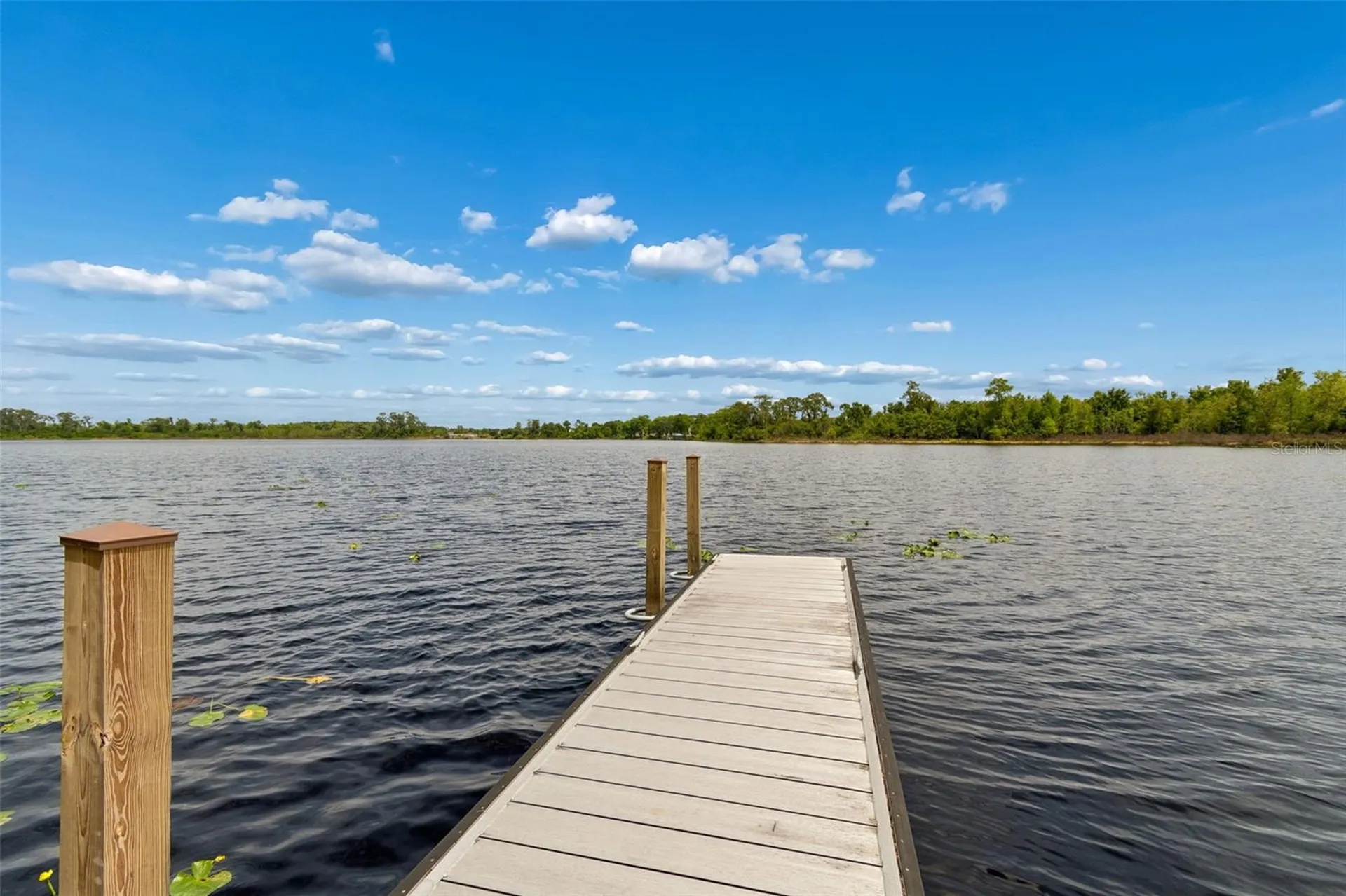 10698 Royal Cypress Way Orlando FL 32836
