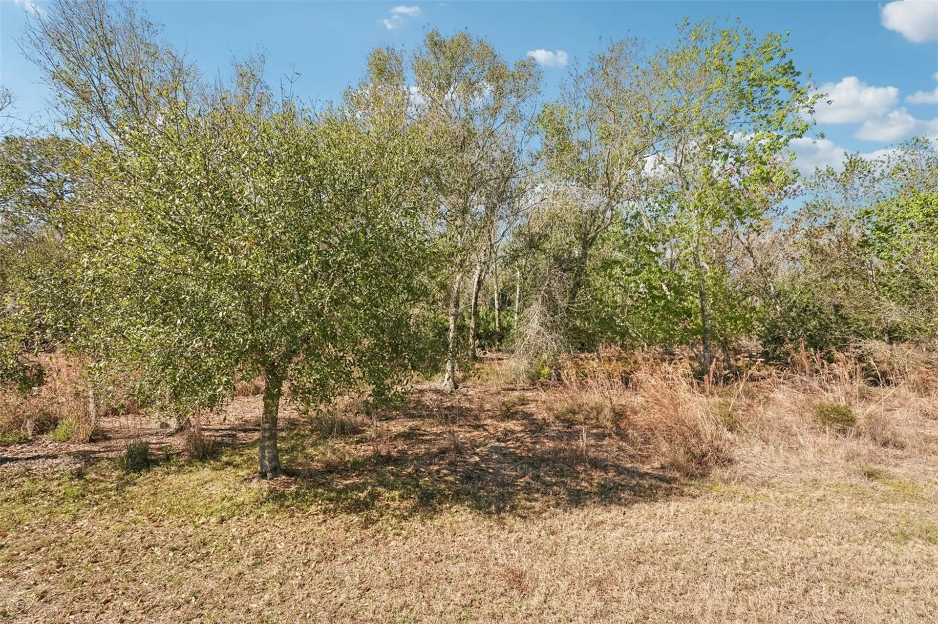 17148 Hampton Falls Terrace Bradenton FL 34202