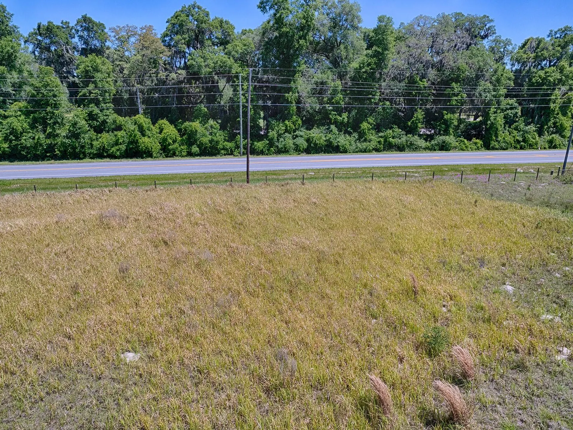 Tbd S C 475 Bushnell FL 33513