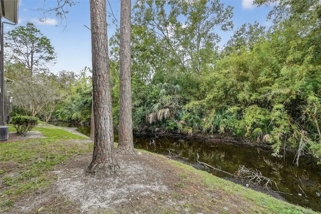 13287 Arbor Pointe Circle Tampa FL 33617
