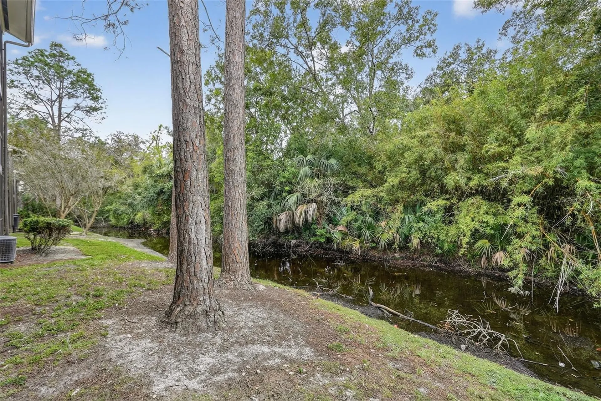 13287 Arbor Pointe Circle Tampa FL 33617