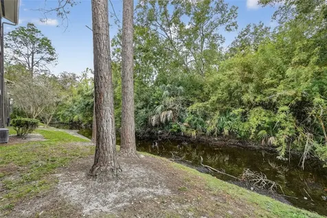 13287 Arbor Pointe Circle Tampa FL 33617