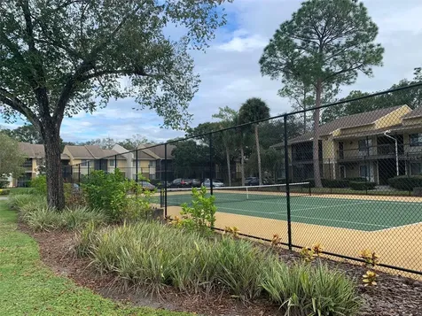 13287 Arbor Pointe Circle Tampa FL 33617