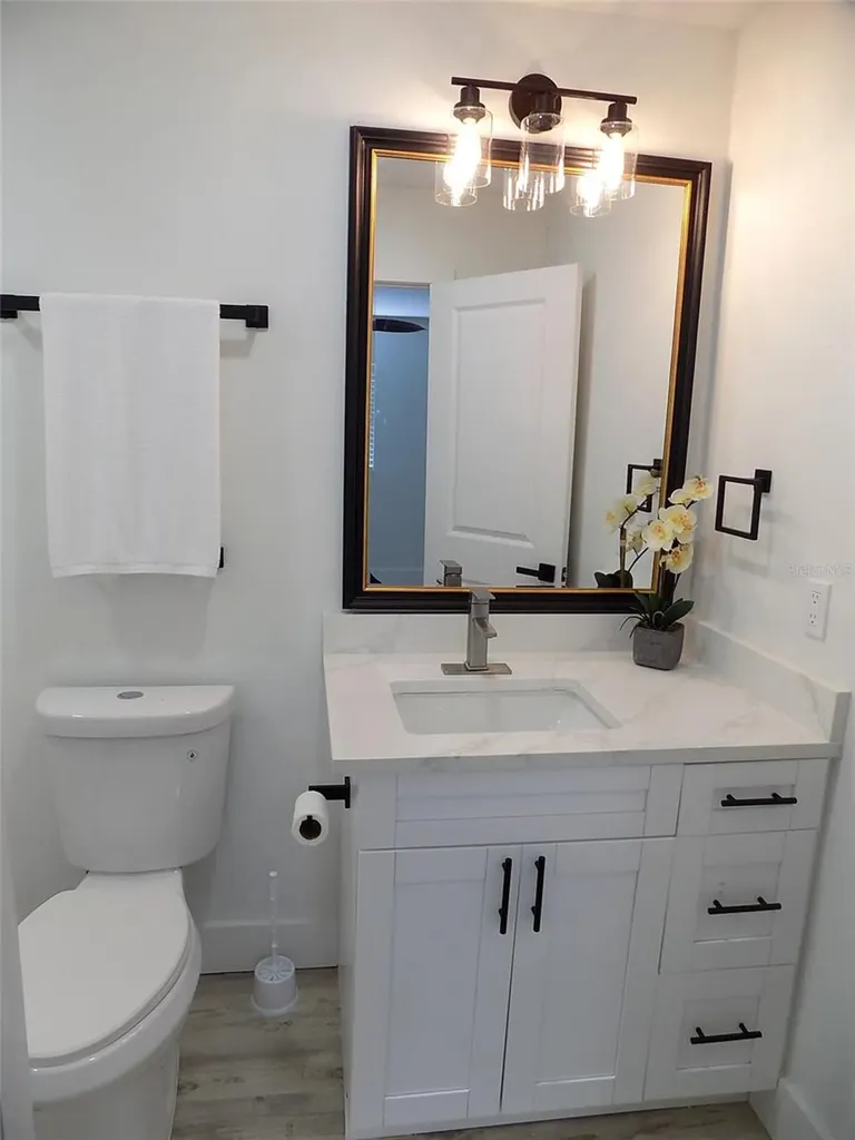 1802 Chinaberry Drive Oldsmar FL 34677