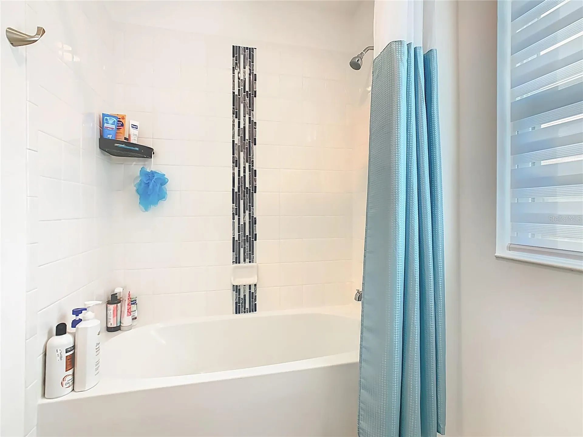 1653 Swan Swim Drive Davenport FL 33837