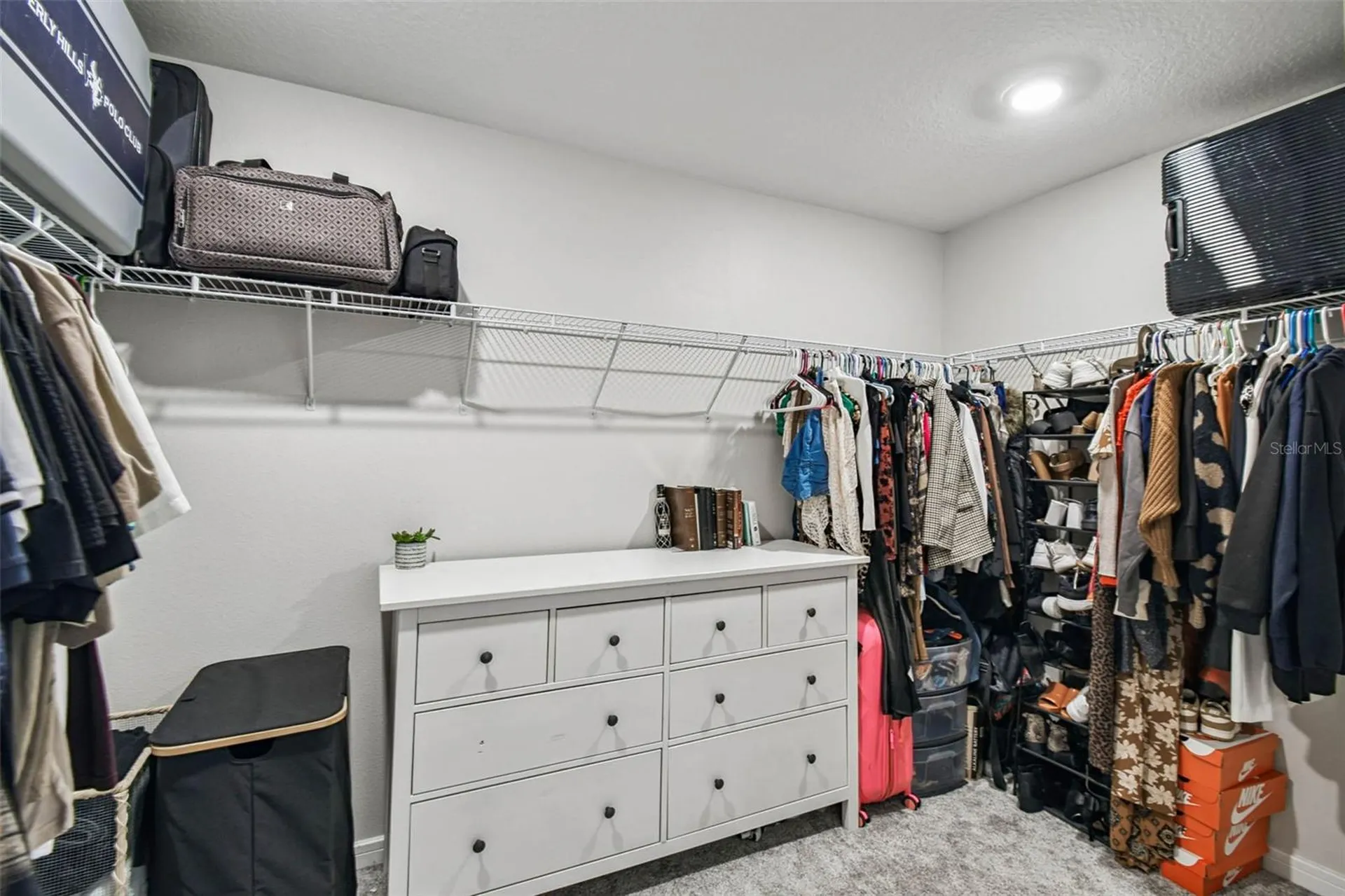4070 Roaming Brook Drive Apopka FL 32712