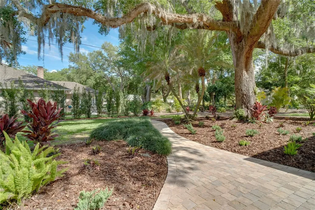 241 N Dillard Street Winter Garden FL 34787
