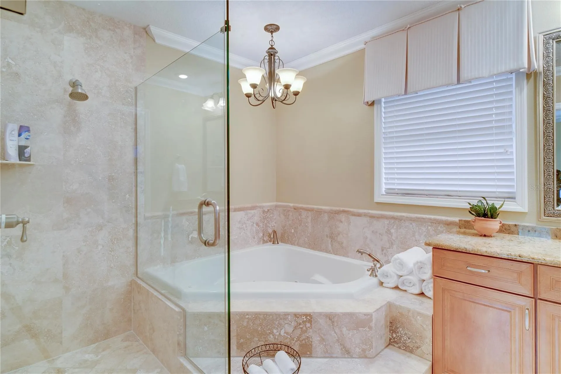 241 N Dillard Street Winter Garden FL 34787