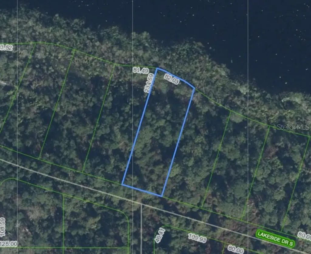 1302 Lakeside Drive S Sebring FL 33875