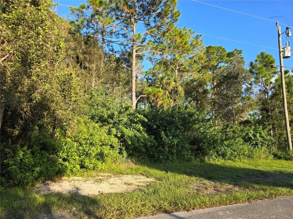 6012 Sara Avenue N Lehigh Acres FL 33971