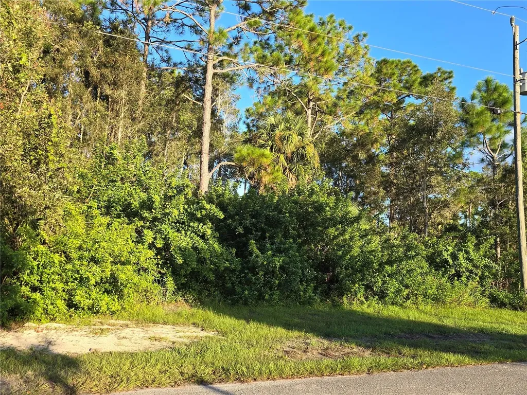 6012 Sara Avenue N Lehigh Acres FL 33971