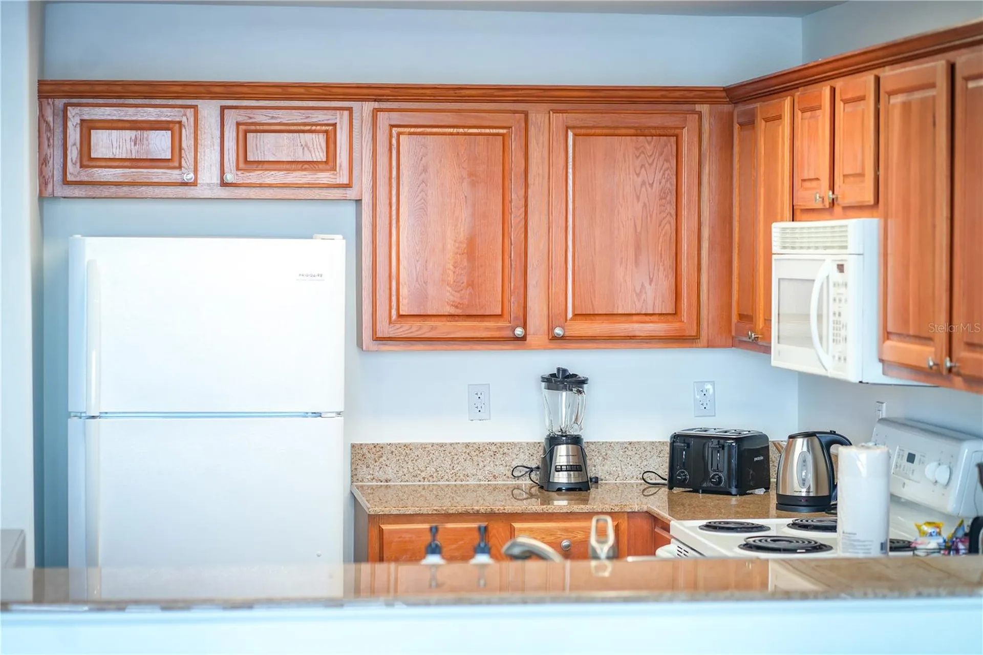 13415 Blue Heron Beach Drive Orlando FL 32821