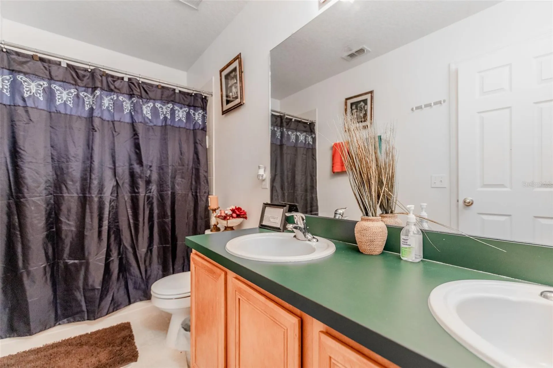 5404 Crepe Myrtle Circle Kissimmee FL 34758
