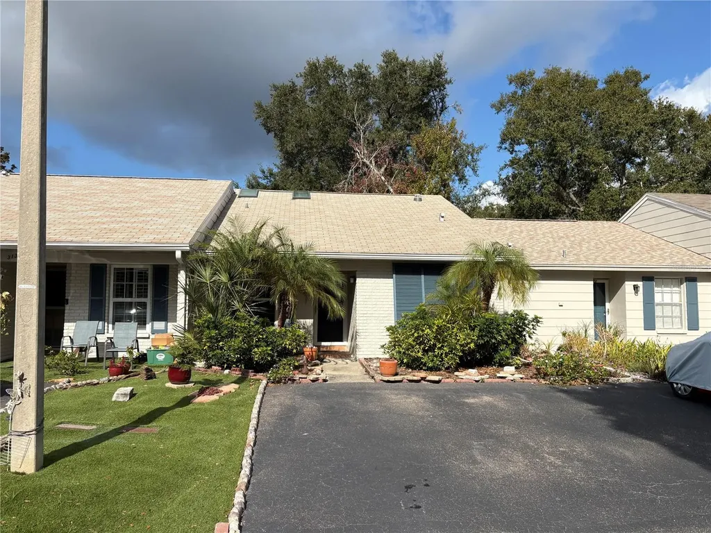 317 Plymouth Street Safety Harbor FL 34695