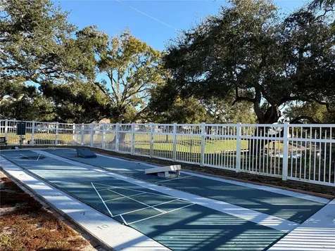 317 Plymouth Street Safety Harbor FL 34695