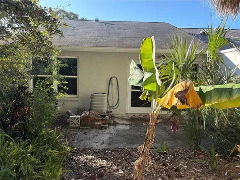 317 Plymouth Street Safety Harbor FL 34695