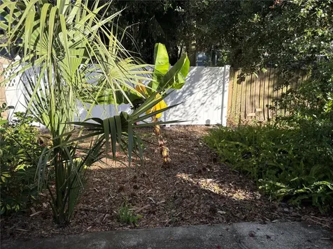 317 Plymouth Street Safety Harbor FL 34695