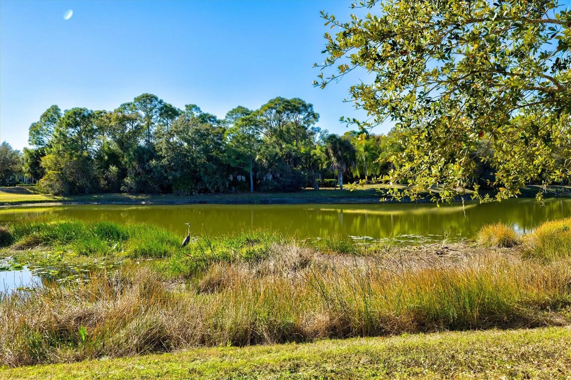 12734 Shimmering Oak Circle Venice FL 34293