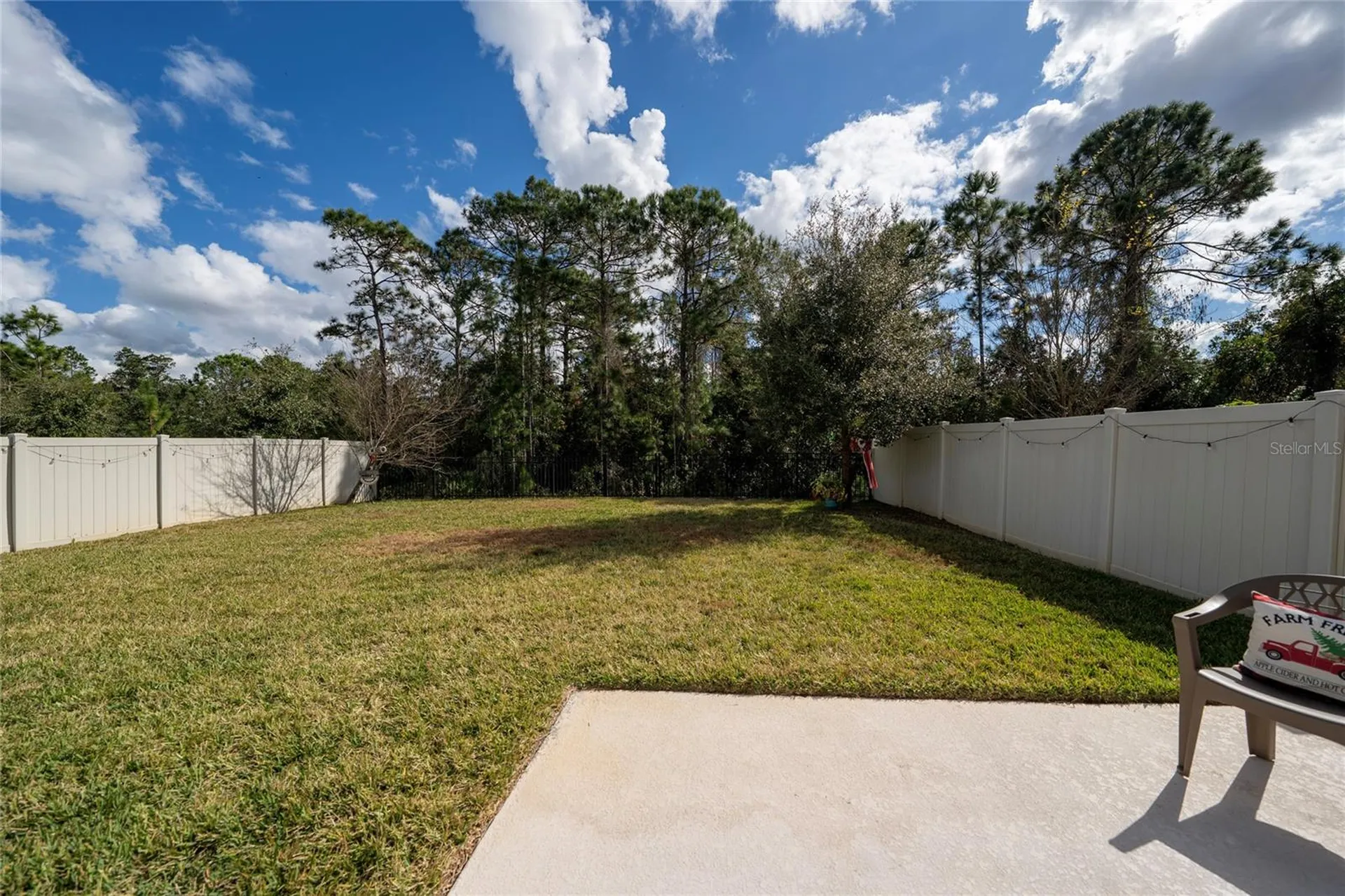 9544 Brown Burrow Street Orlando FL 32829