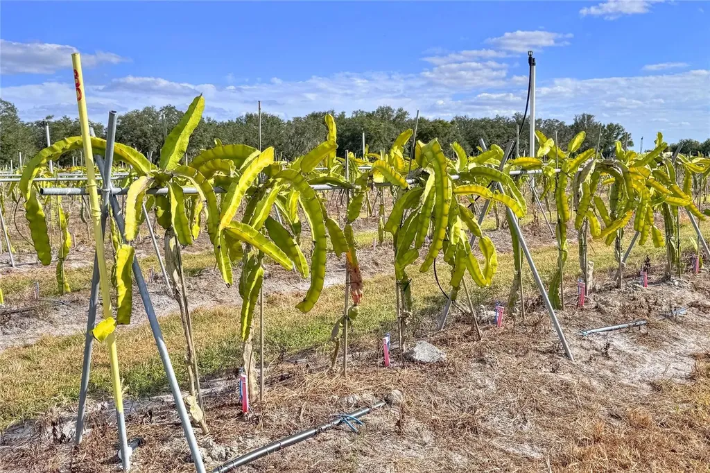6018 NW County Road 661a Arcadia FL 34266