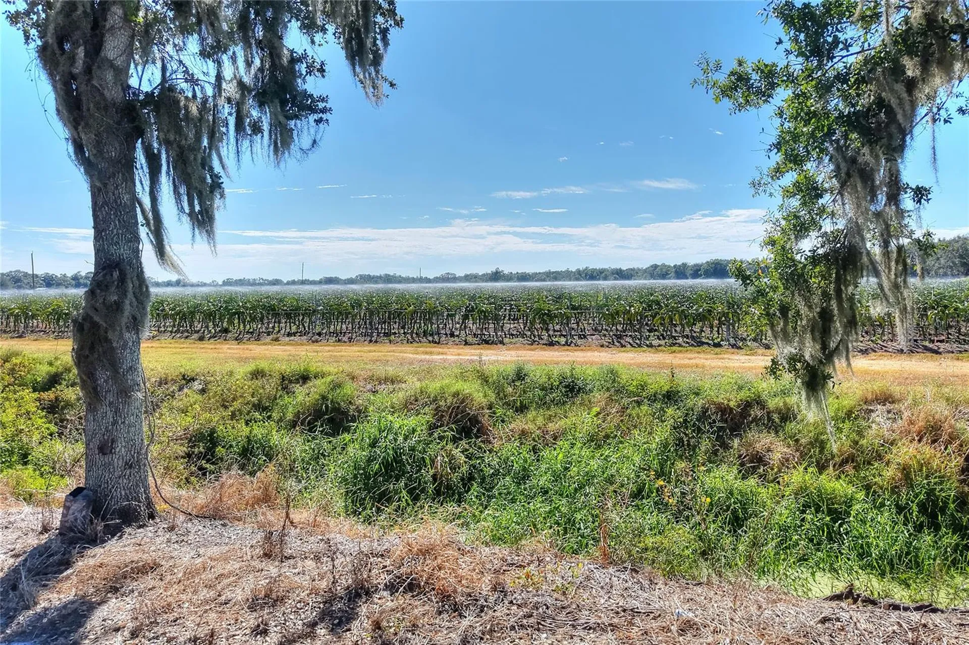 6018 NW County Road 661a Arcadia FL 34266