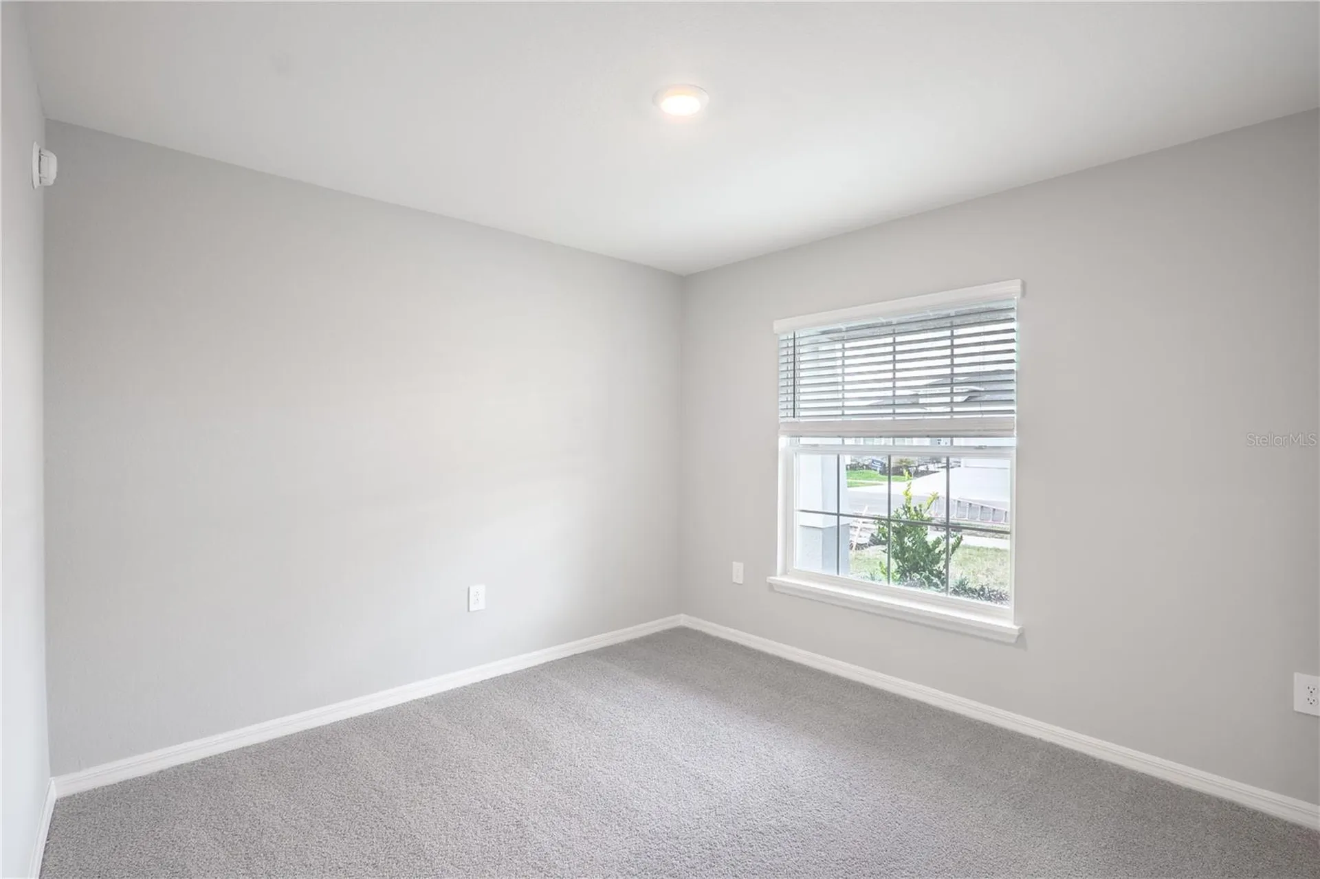 6057 Dropwort Drive Wimauma FL 33598