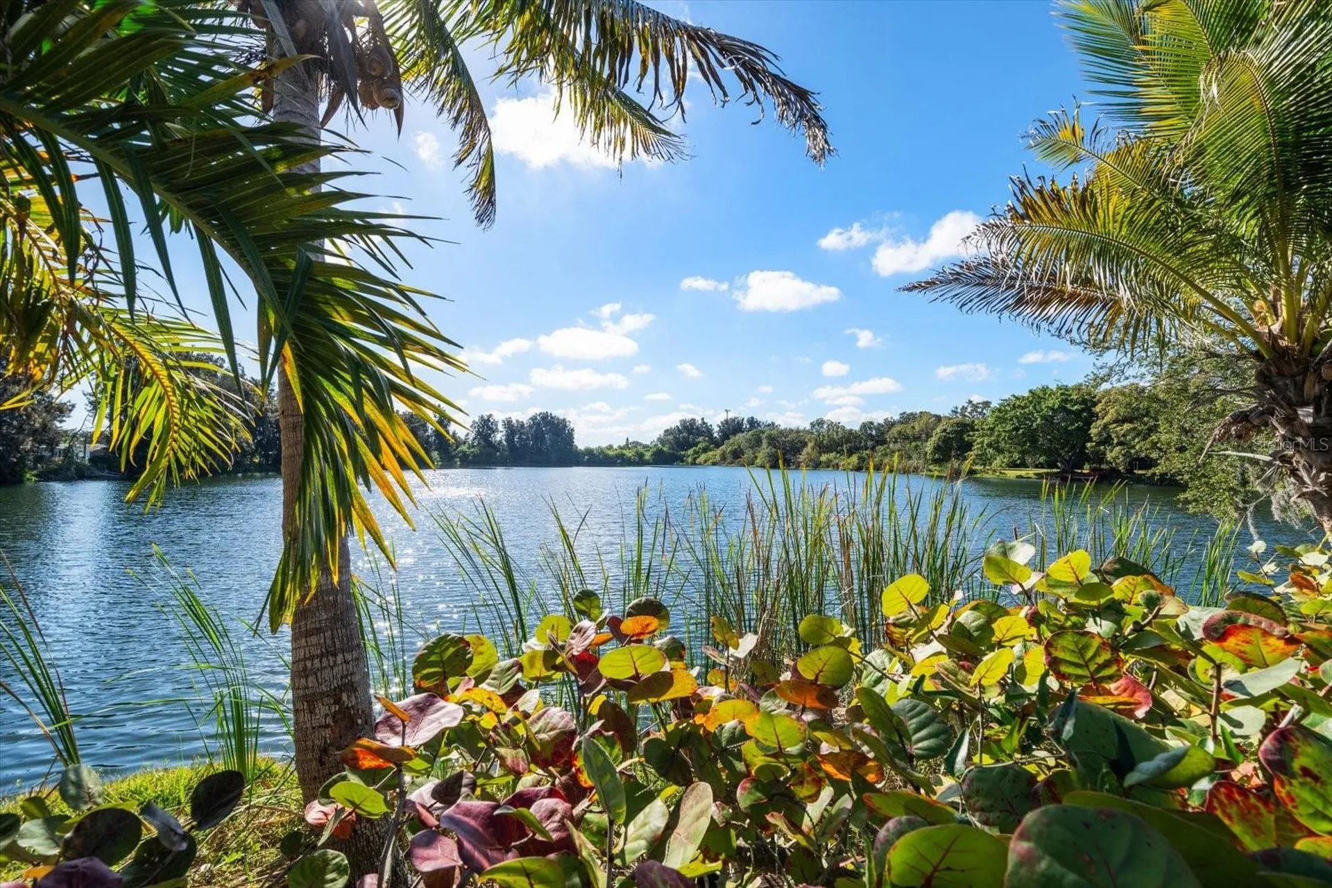 2402 Pine Hammock Clearwater FL 33764