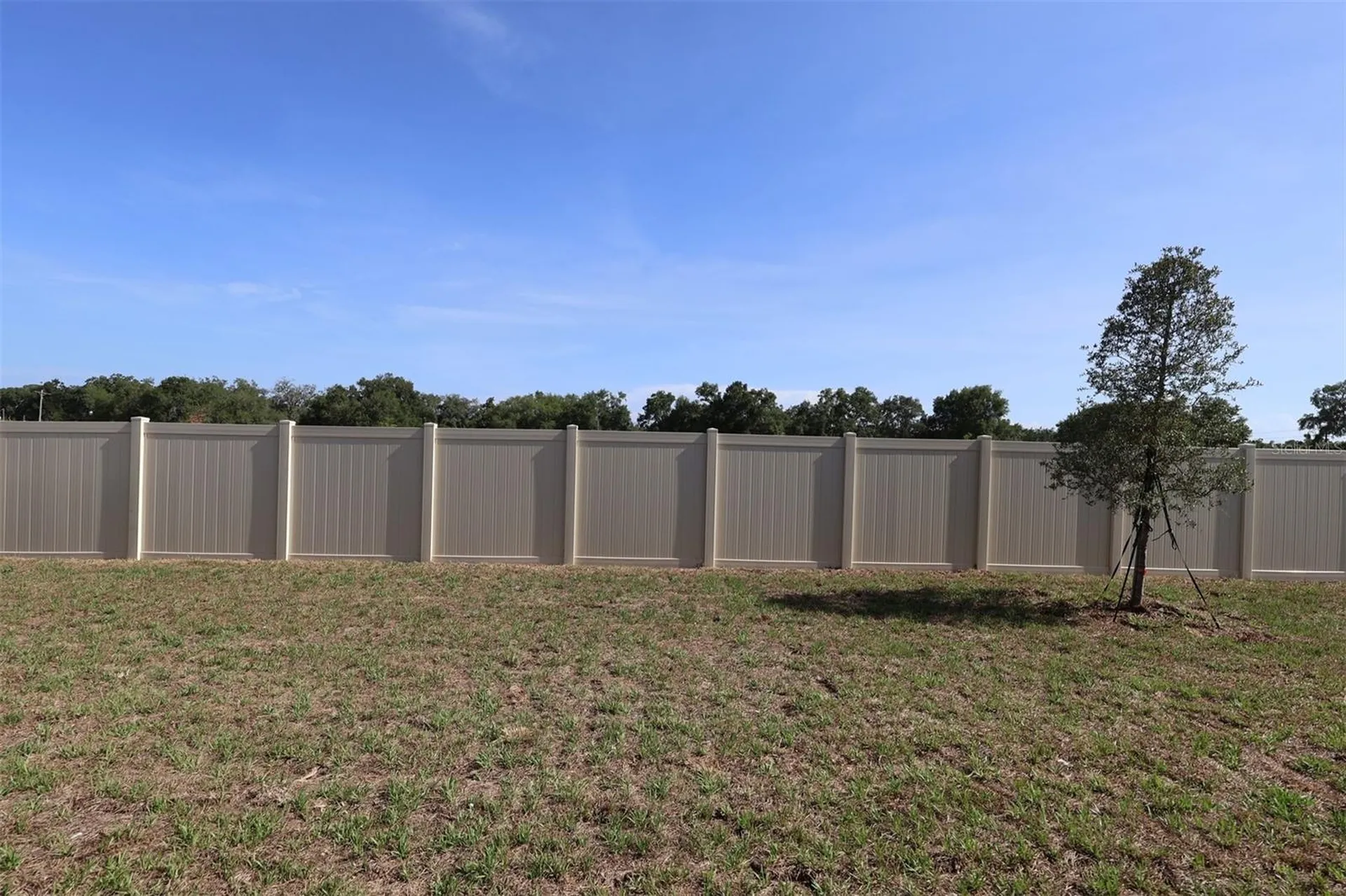3811 Wolves Creek Place Apopka FL 32712