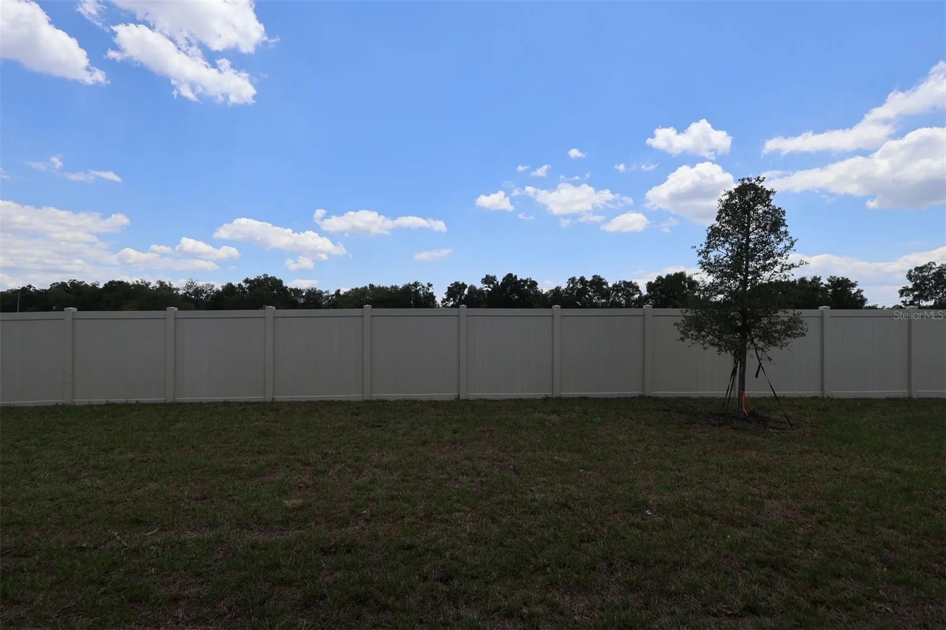 3811 Wolves Creek Place Apopka FL 32712