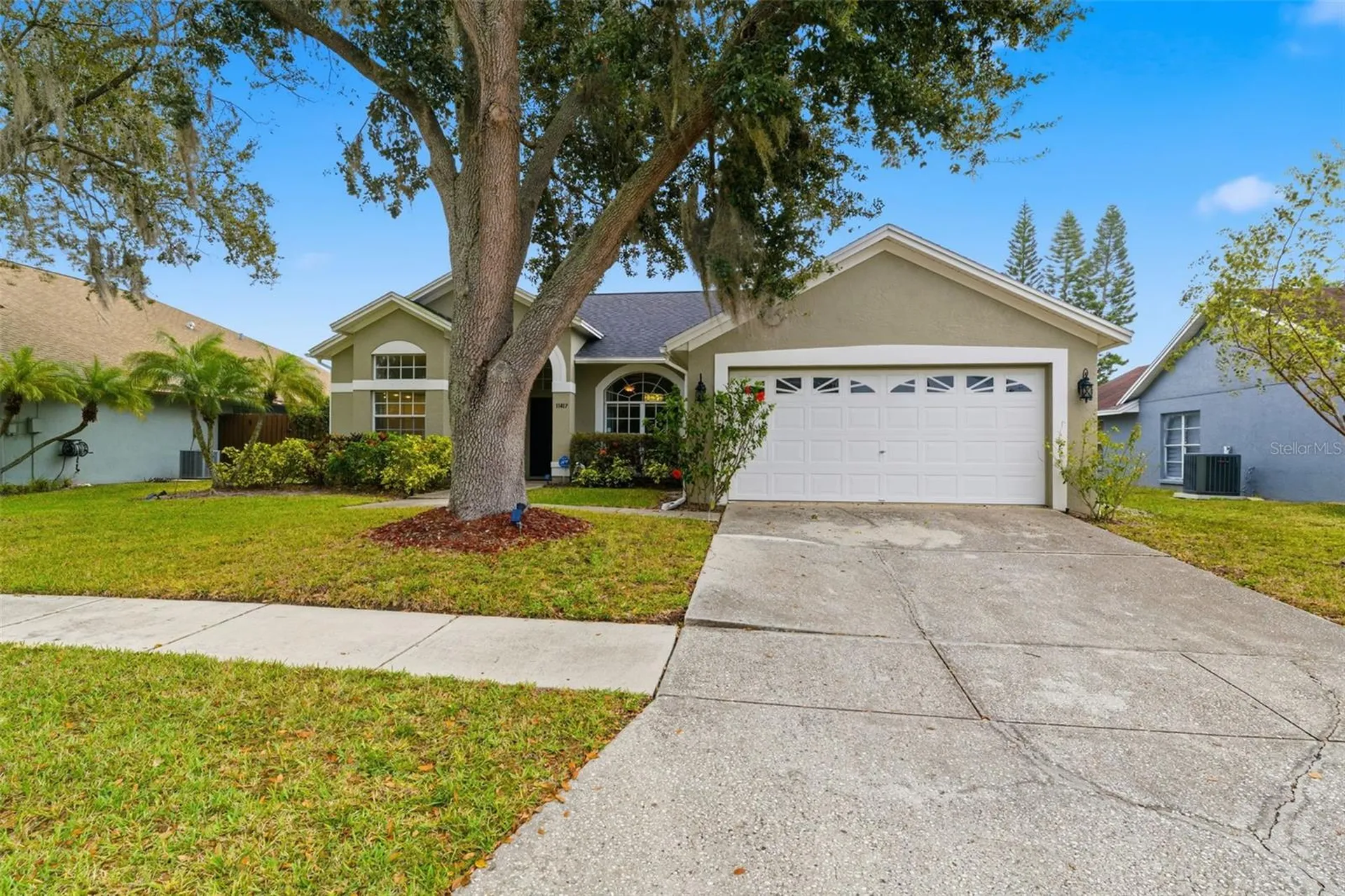 11417 Palm Pasture Drive Tampa FL 33635