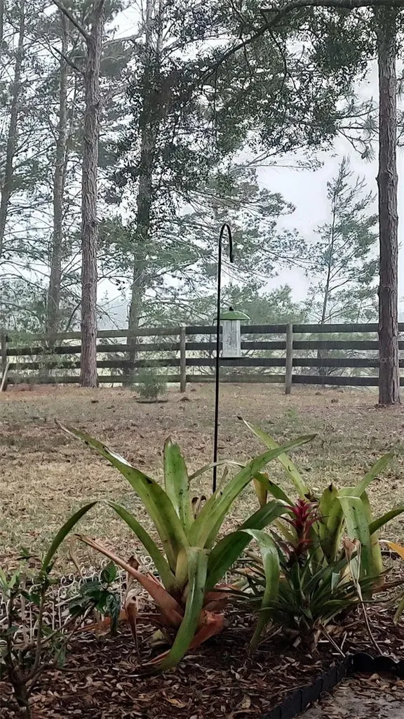 12480 S Fern Point Floral City FL 34436