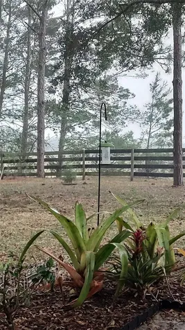 12480 S Fern Point Floral City FL 34436
