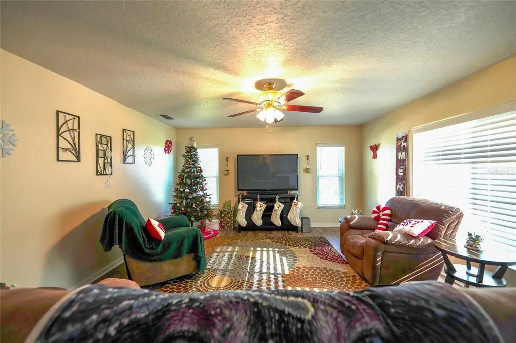 14345 Sanhatchee Street Clermont FL 34711