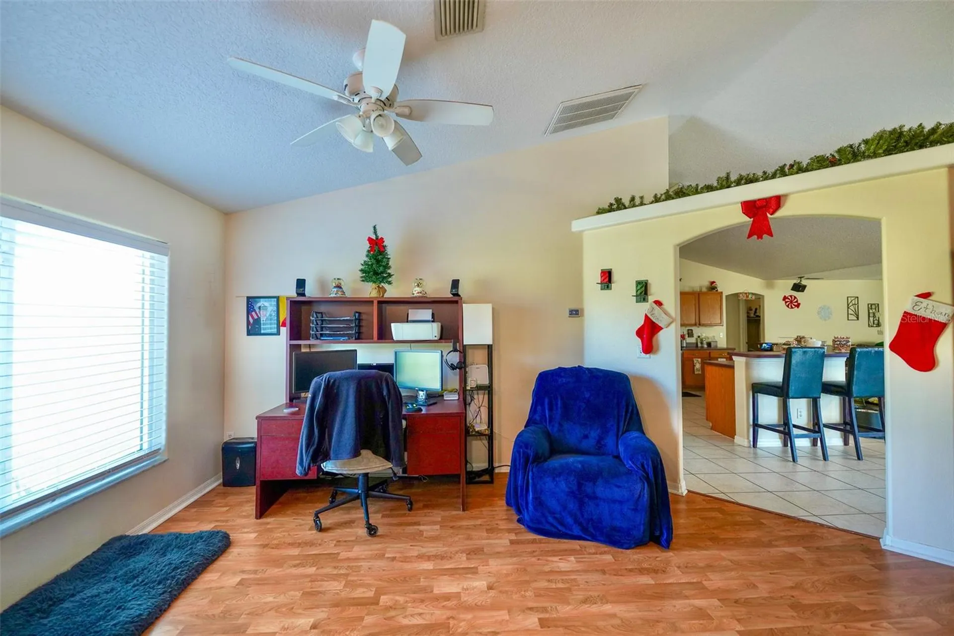 14345 Sanhatchee Street Clermont FL 34711