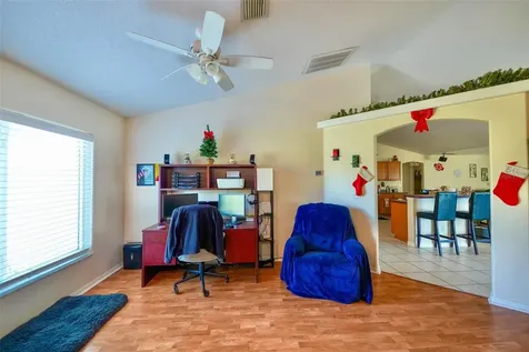 14345 Sanhatchee Street Clermont FL 34711